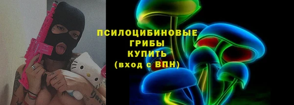 твердый Каменка