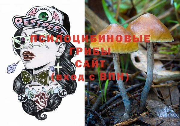 герыч Каменногорск