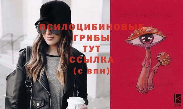 герыч Каменногорск