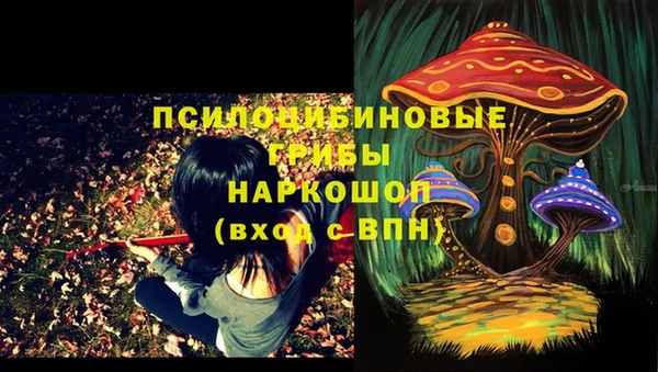 герыч Каменногорск