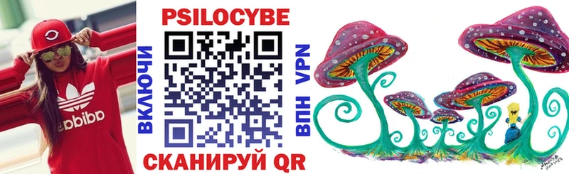 Псилоцибиновые грибы Cubensis  Купить закладки  Берёзовский 